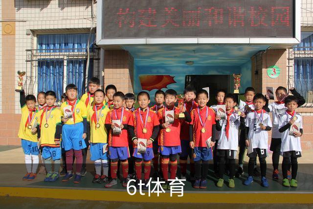 6t体育团队与业务介绍